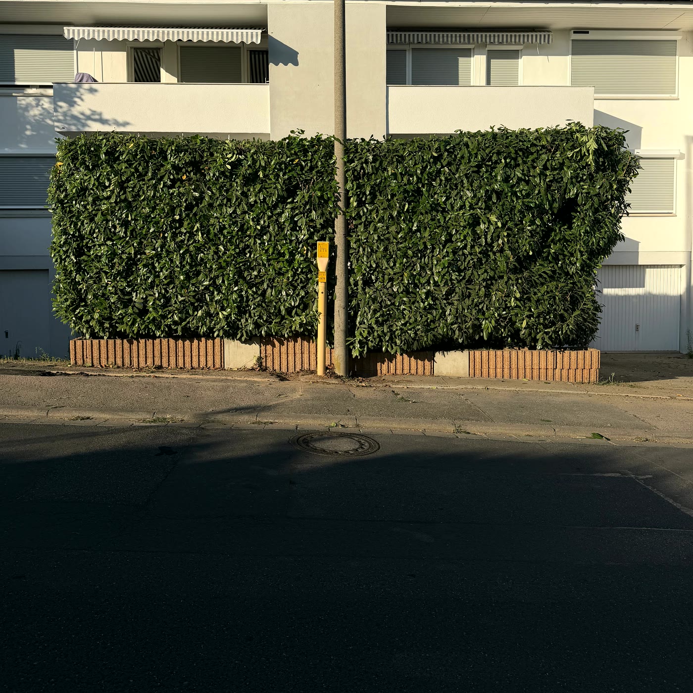 Frisch geschnittene, gerade Hecke vor einem Wohnhaus