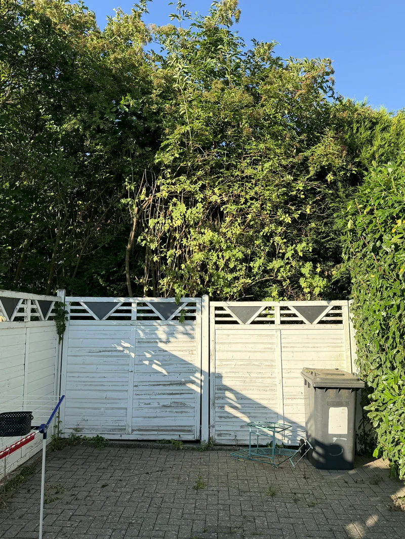 Derselbe Zaun frei geschnitten, Sträucher in Form